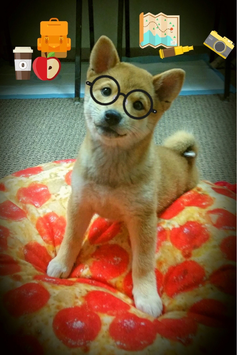 哈尔滨食品药品监督局电话号码(黑龙江省哈尔滨市食品药品监督管理局电话)