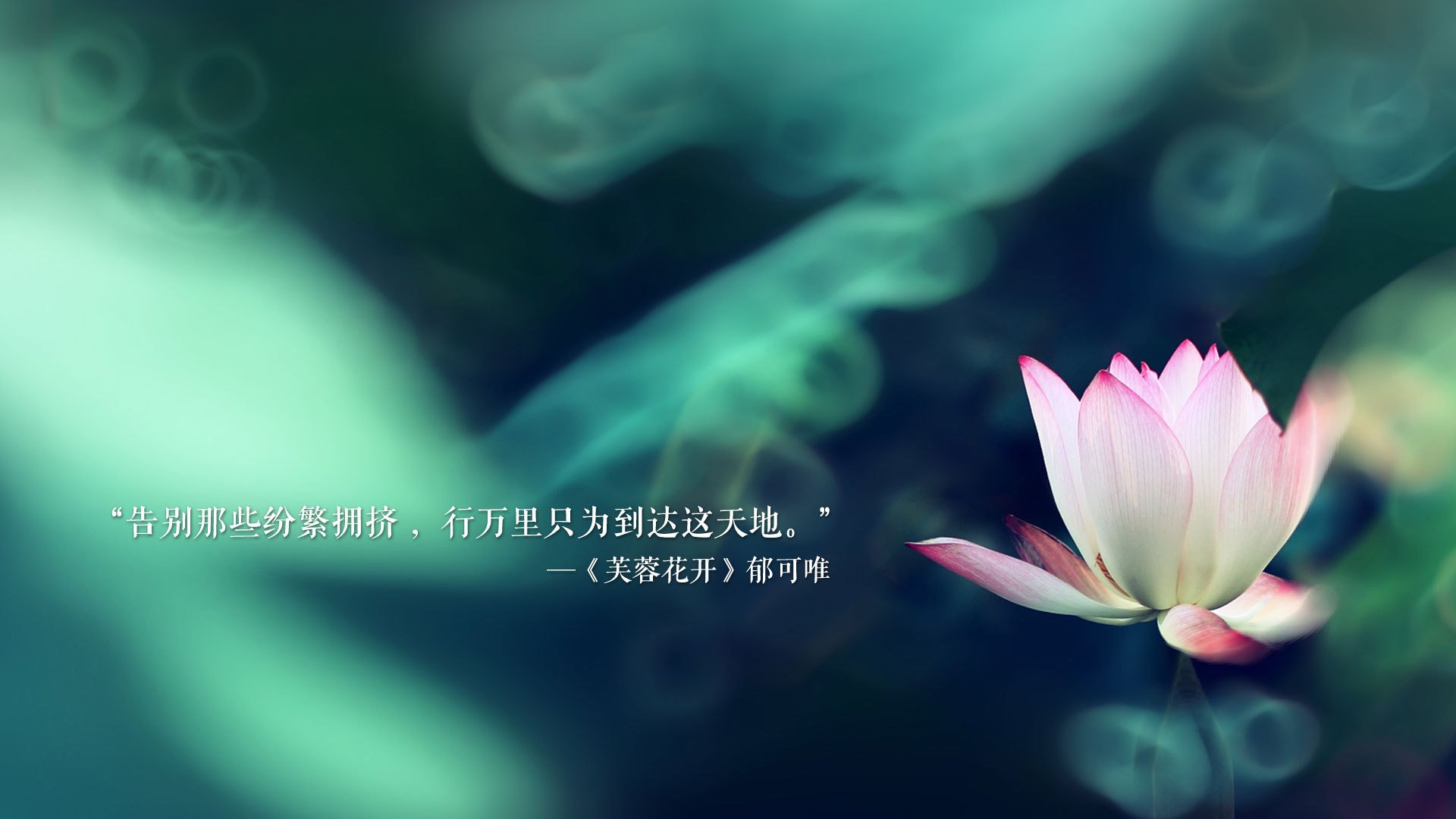 哈尔滨冰雕图片雪景大全高清(哈尔滨冰雕图片 冰雪大世界)